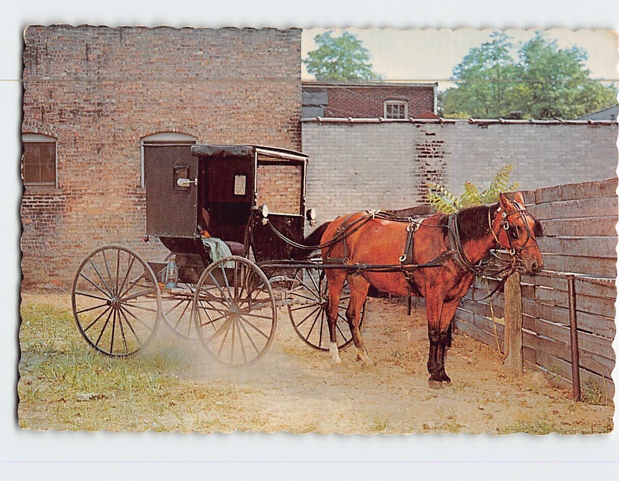 Postcard Horse And Buggy Parking Lot Goshen Indiana USA