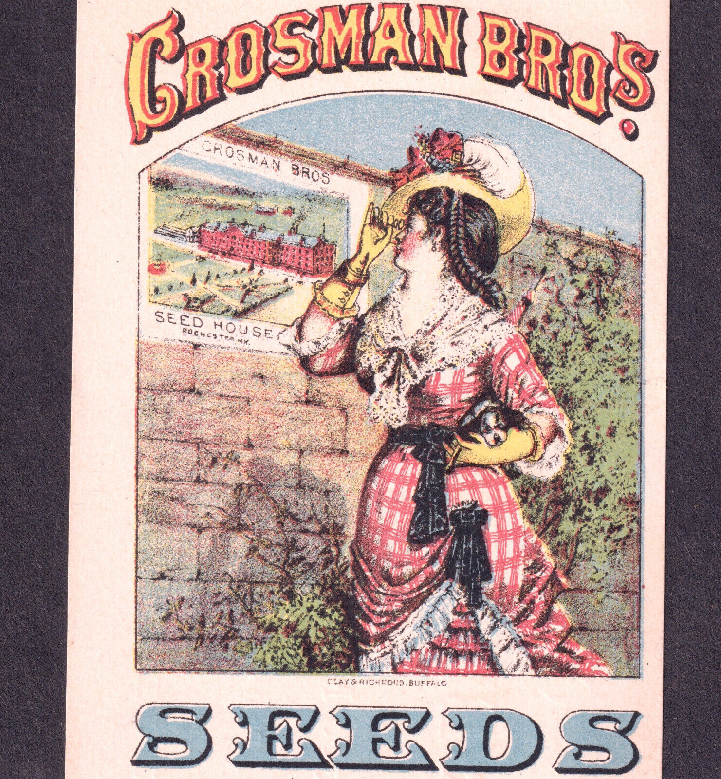 Crosman Bros Seeds Rochester NY Antique 1800's Poster Sign Victorian Trade Card