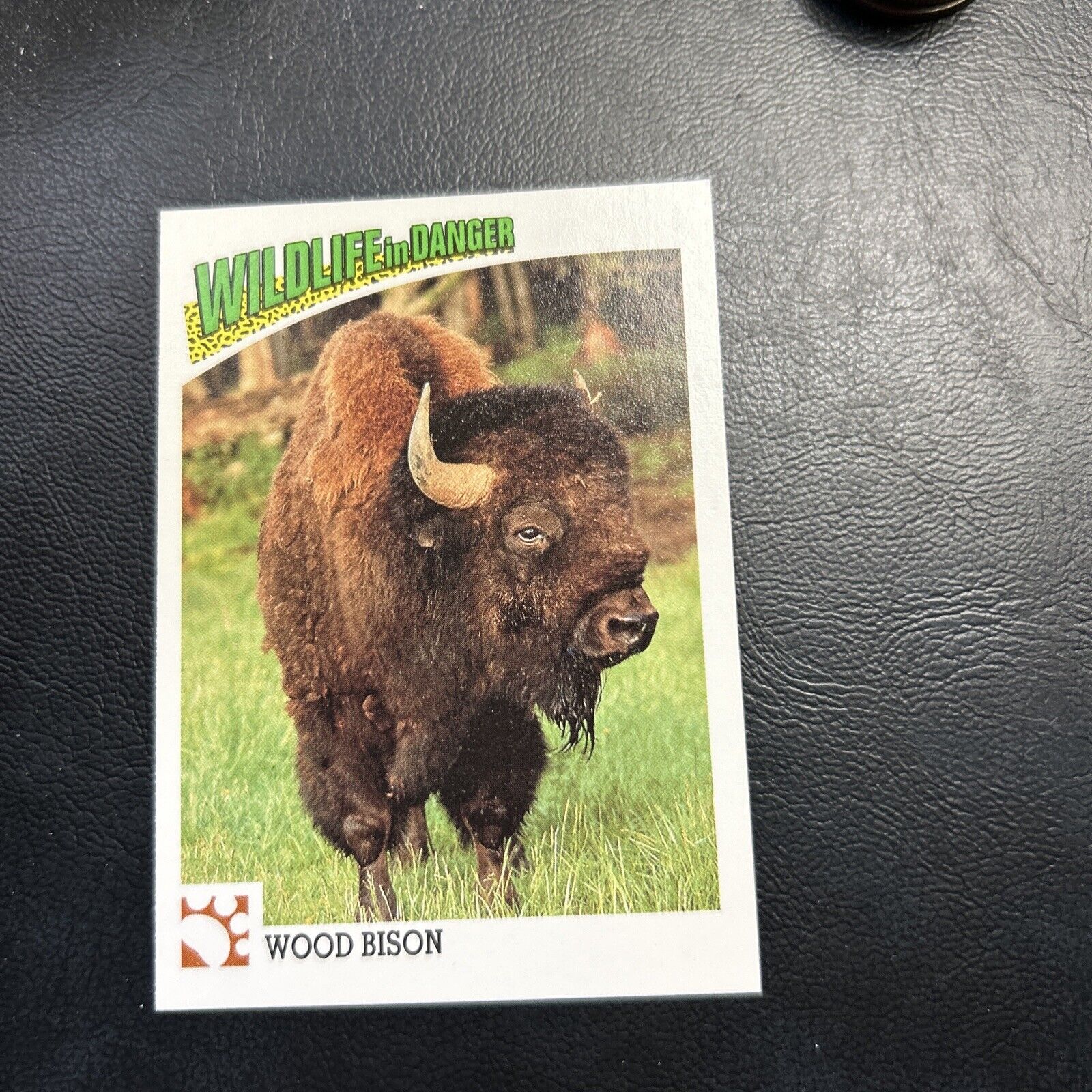B30s Wildlife In Danger 1992 WWF World Fund #9 Wood Bison Buffalo