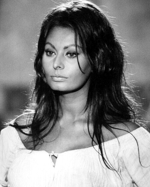 Sophia Loren B&W 8x10 Photo #04
