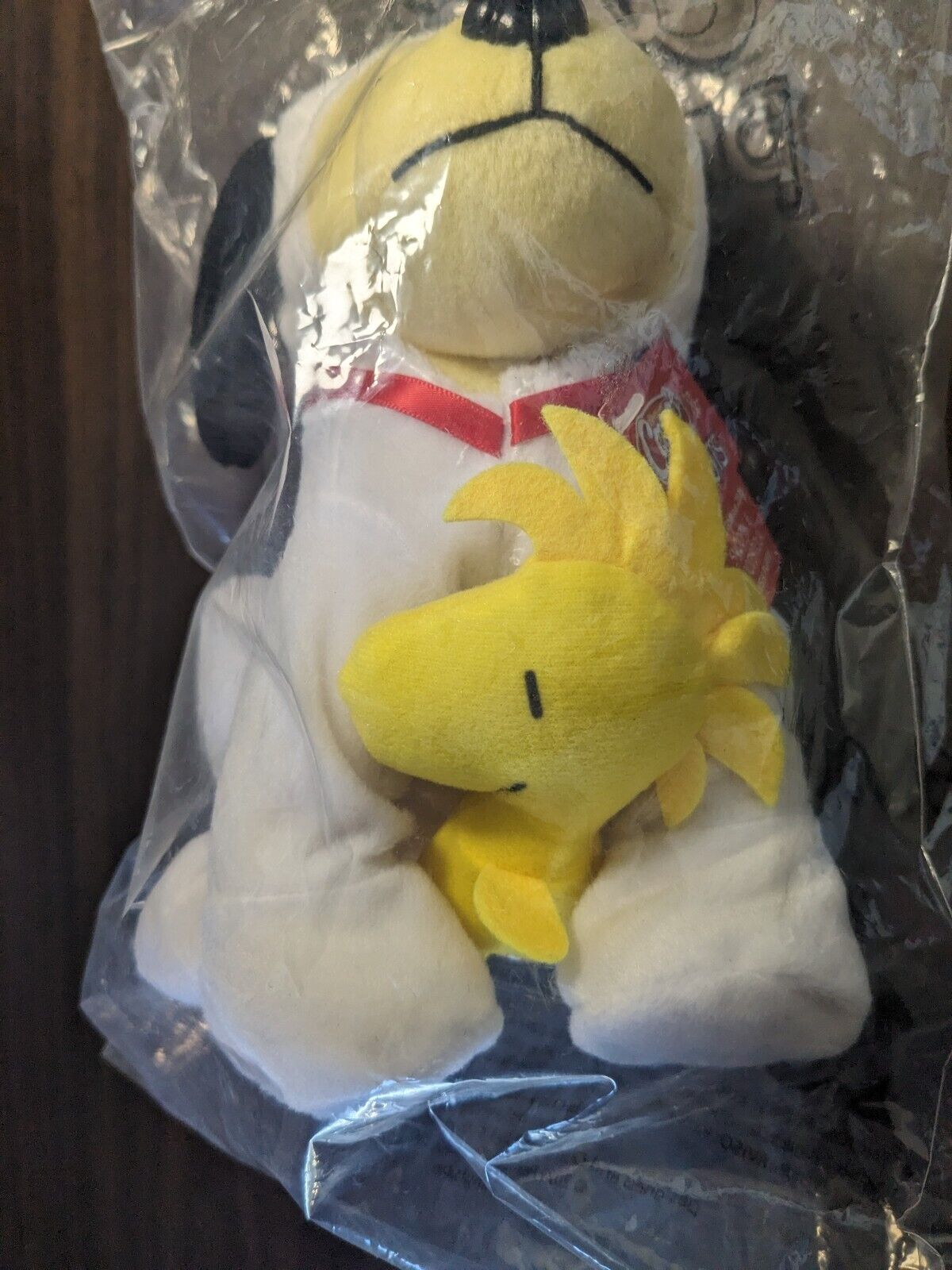 NEW Raising Cane's Peanuts Snoopy & Woodstock Plush Limited Edition 2021 8