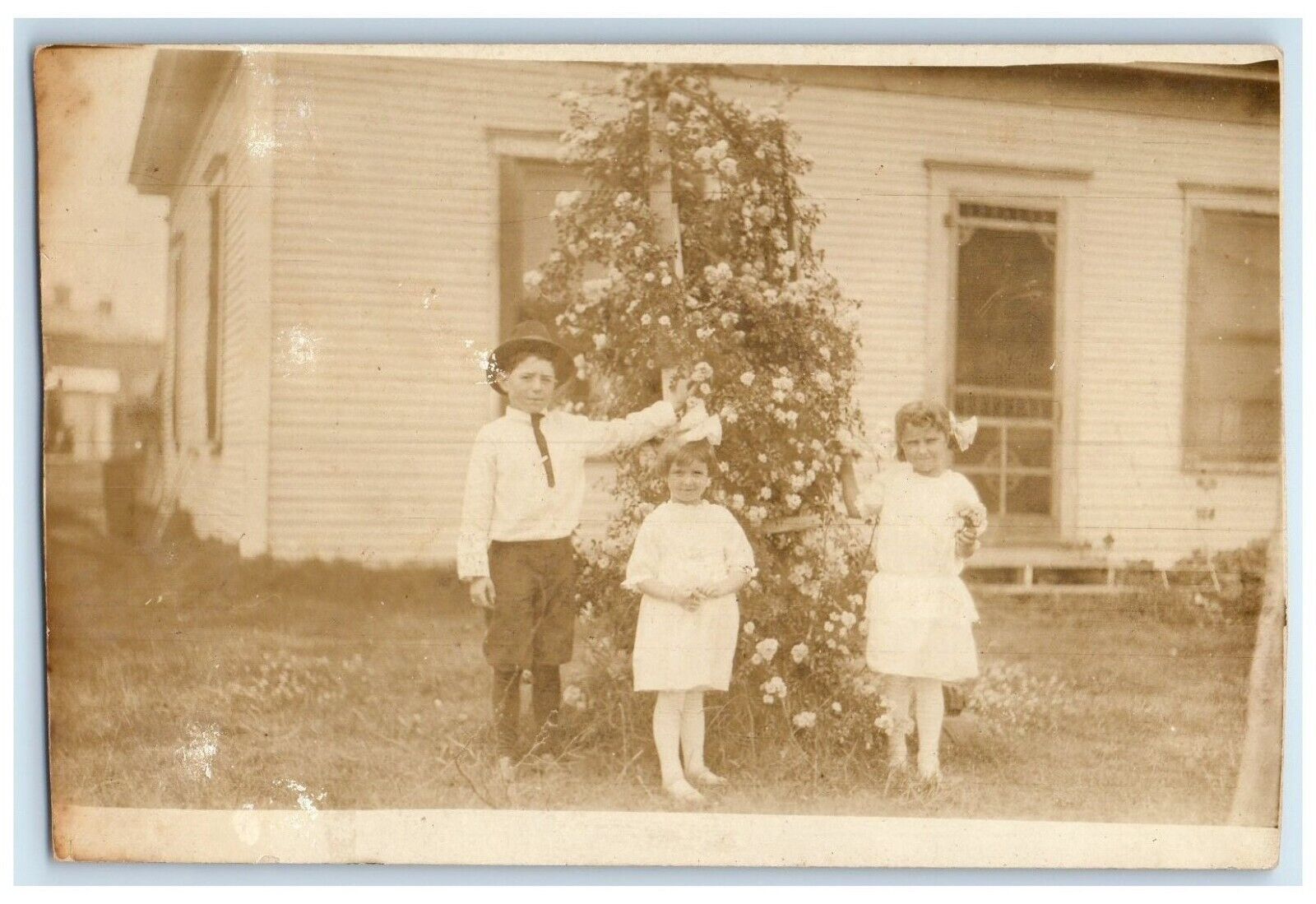 c1910\'s Children Little Girls And Boy Picking Flowers RPPC Photo Posted Postcard