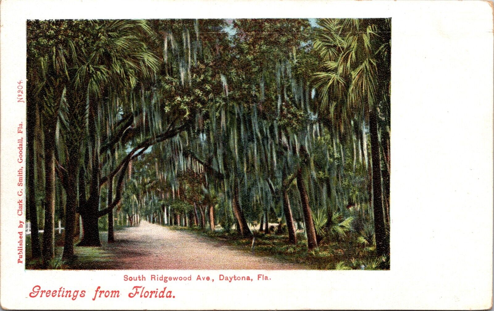 c1908 Postcard Florida Daytona Beach Ridgewood Avenue South from Magniola FL a3