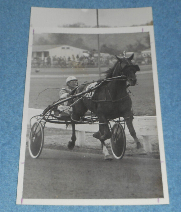 Circa 1970s Harness Racing Press Photo Horse Nero Joe O'Brien Unknown Racetrack
