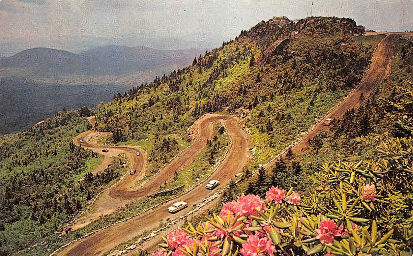 Roadway to top of Grandfather Mountain North Carolina NC Chrome Postcard 5159