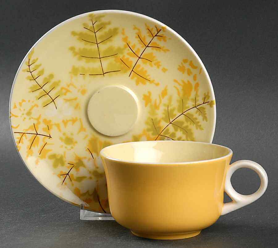 Mikasa Wild Blossoms Cup & Saucer 401435