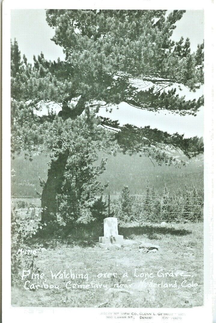 Nederland CO Pine Watching over a Lone Grave, Caribou Cemetery RPPC M-1710
