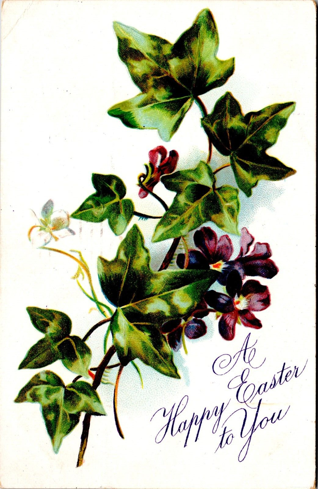 Tuck's Postcard Floral Easter Greetings - A Happy Easter To You - Posted 1908