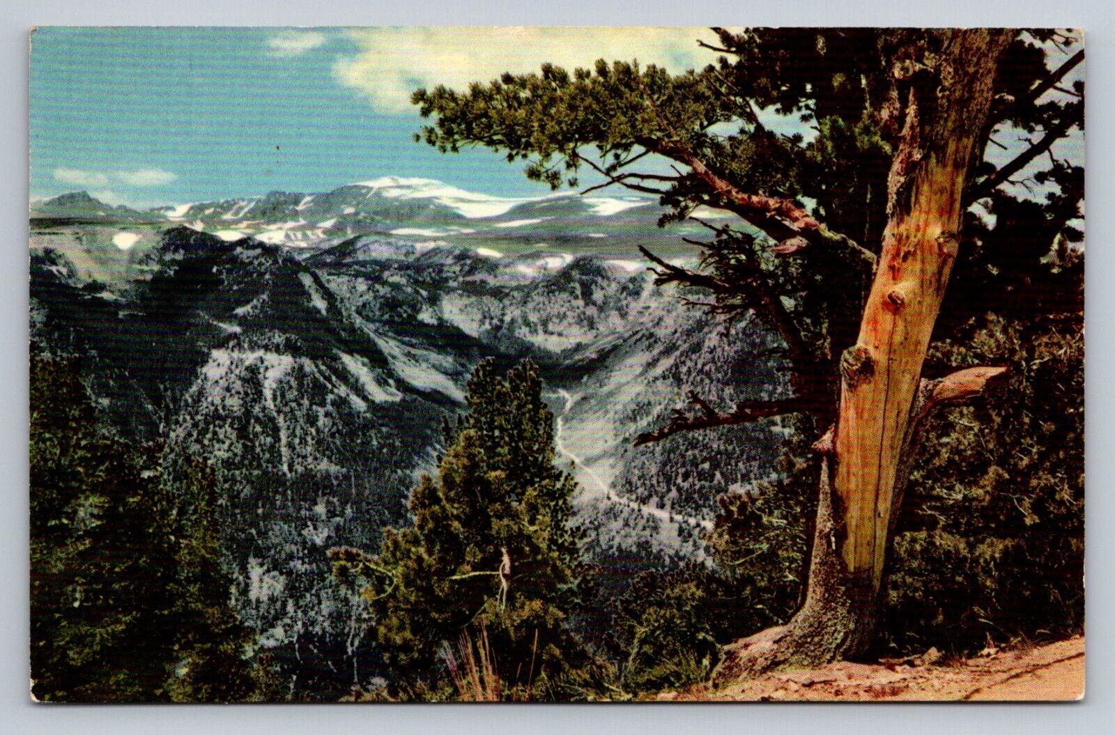 Postcard MT Beartooth Mountains Granite Peak Union Oil Continental Divide D924