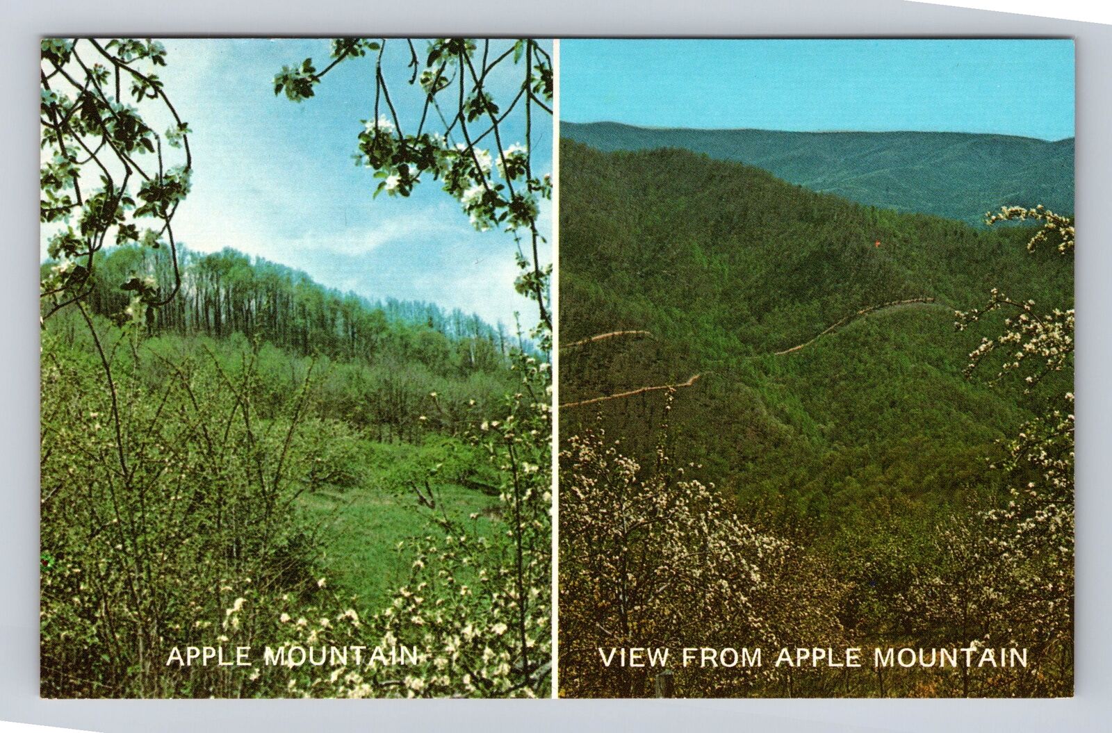 Little Switzerland NC-North Carolina, Apple Mountain, Antique Vintage Postcard