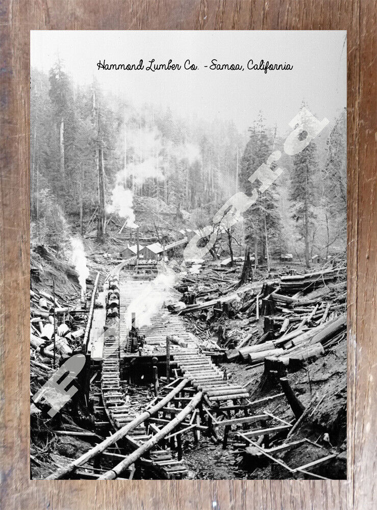 Historic Hammond Lumber Co. - Samoa, California Train Postcard