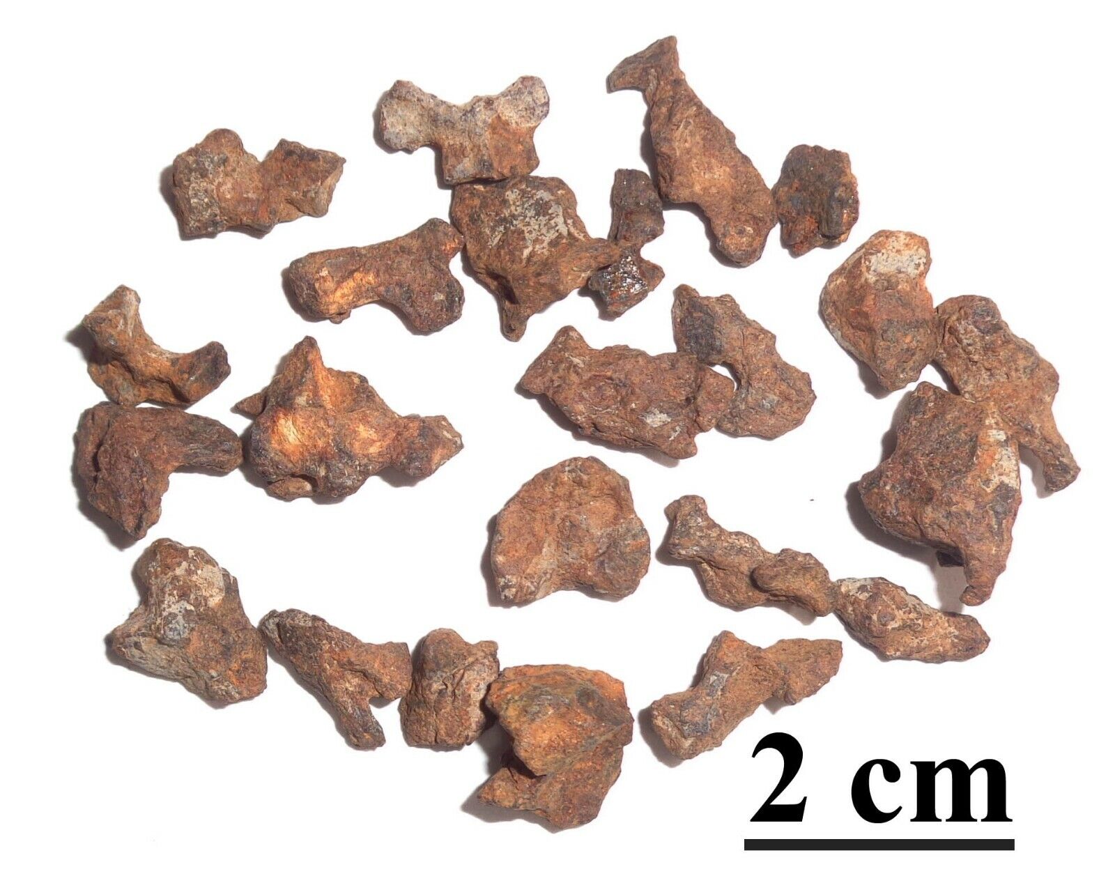 RARE Meteorite Sericho, pallasite, Kenya, lot of nice natural skeletons 25 gr#3