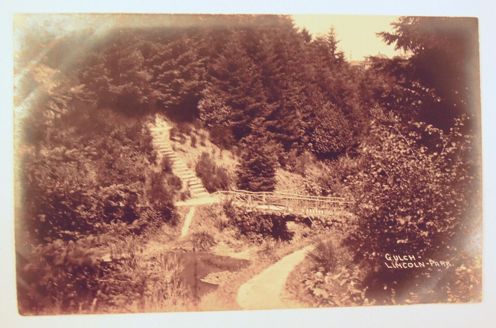Vintage RPPC Real Photo Postcard Gulch Lincoln Park Chicago IL Early 1900s      