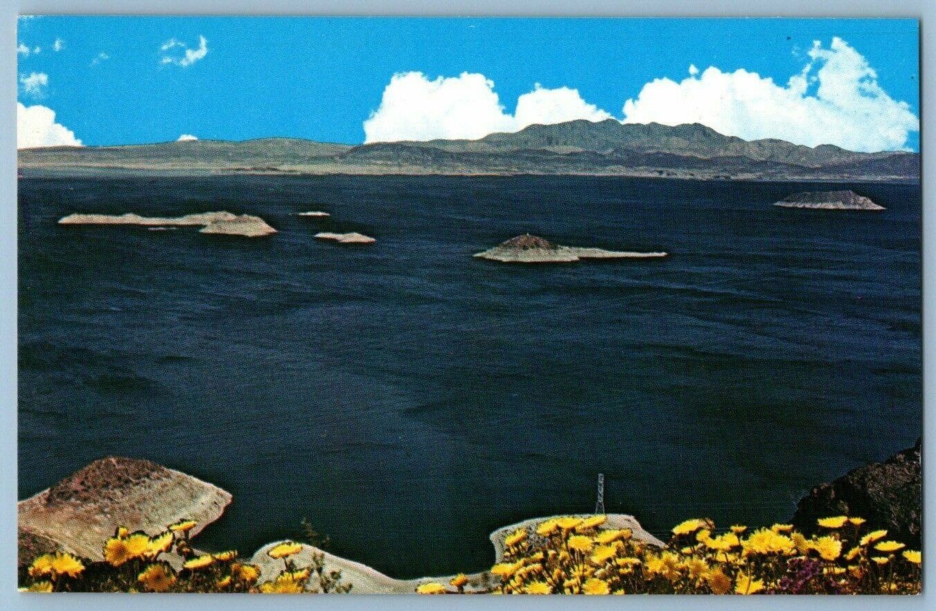 Postcard~ Islands~ Lake Mead~ Nevada~ Arizona