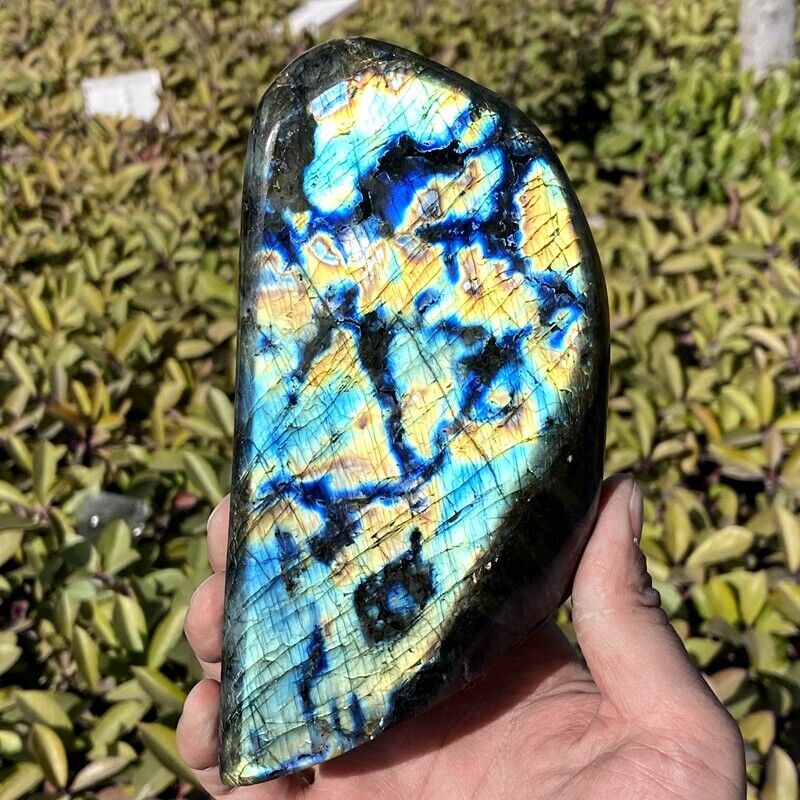 2.92LB  Natural Gorgeous Labradorite Quartz Crystal Stone Specimen Healing