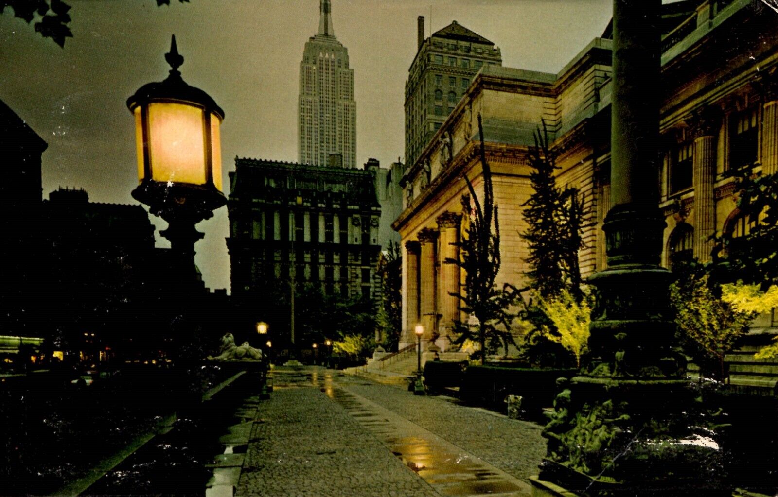 Postcard New York Public Library New York City New York 1005