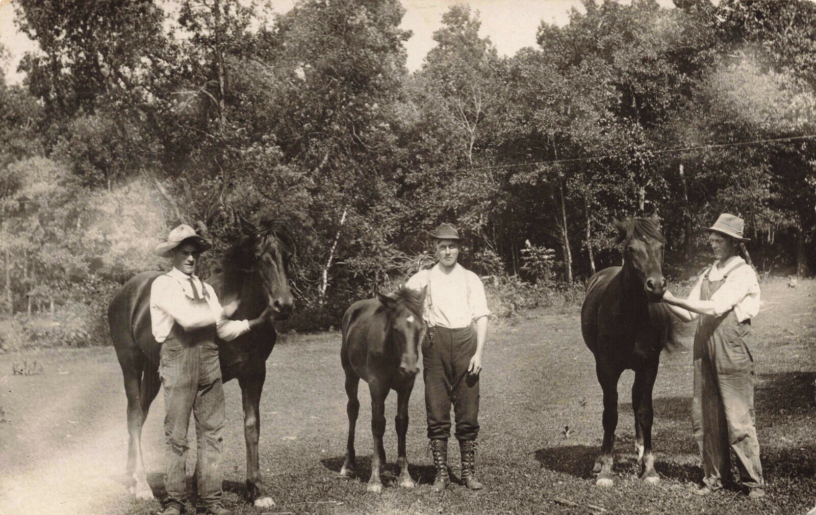 VINTAGE RPPC REAL PHOTO POSTCARD THREE MEN WITH HORSES GARFIELD MN 1909 022822  