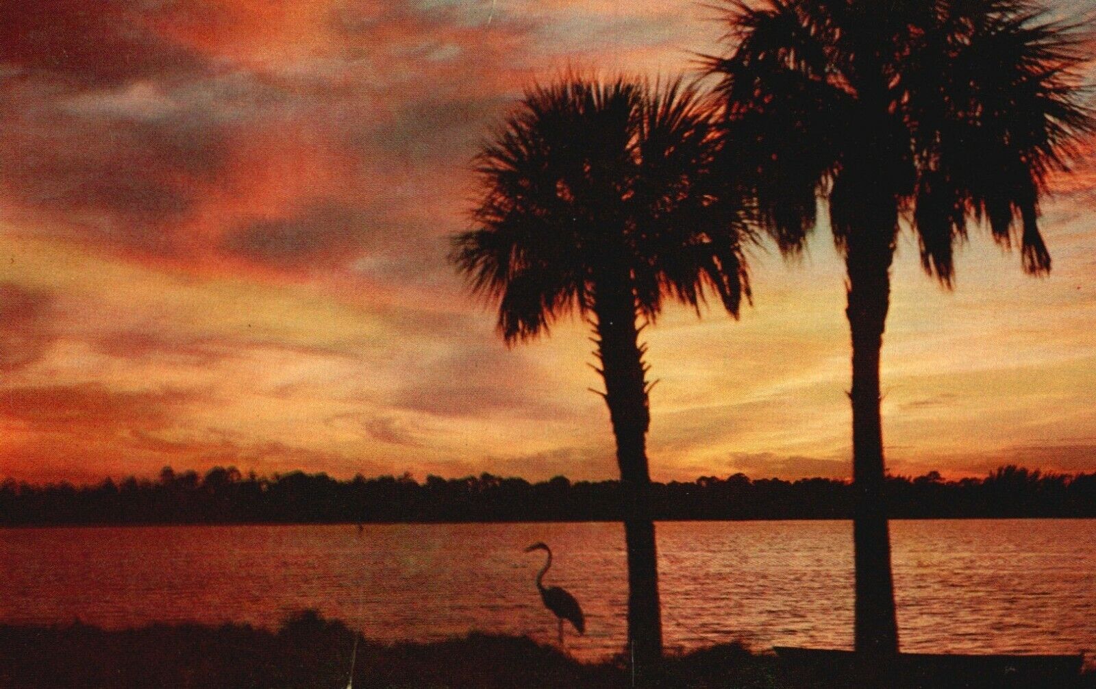 Postcard FL Florida Beautiful Florida Sunset Posted 1957 Chrome Vintage PC a334