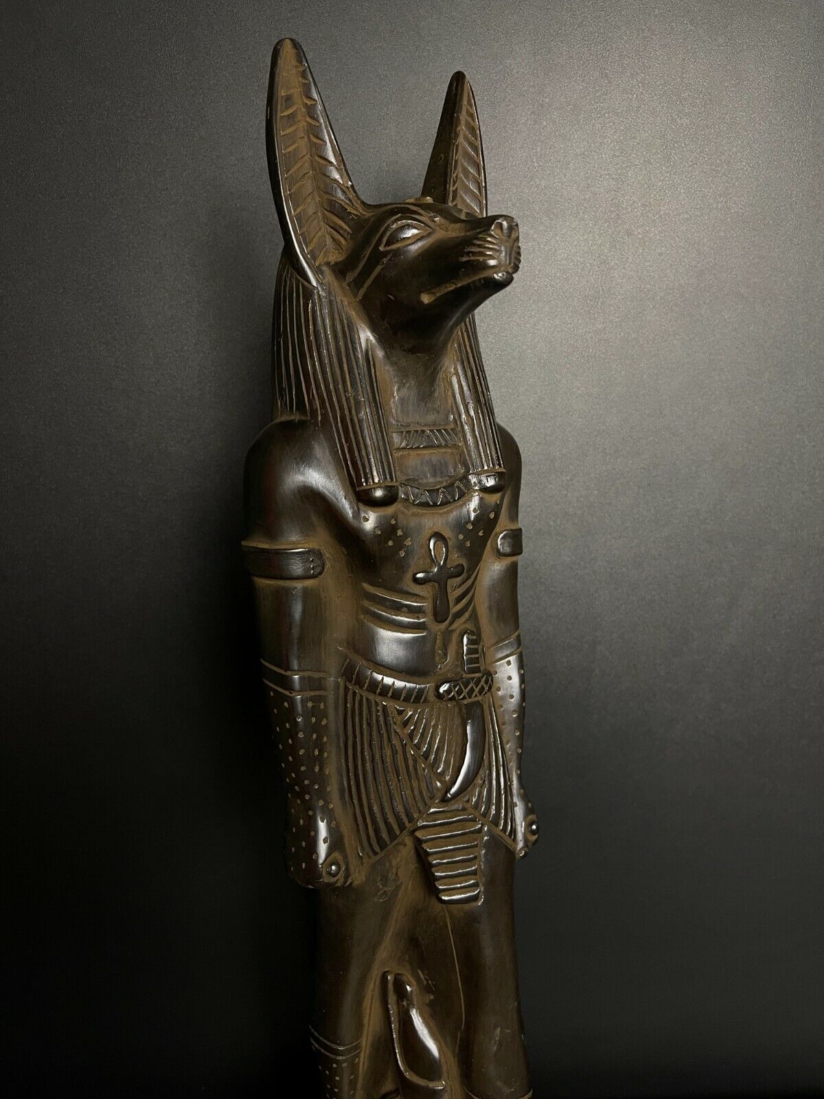 Marvelous God of Afterlife Anubis and god of mummification wearing the Ankh