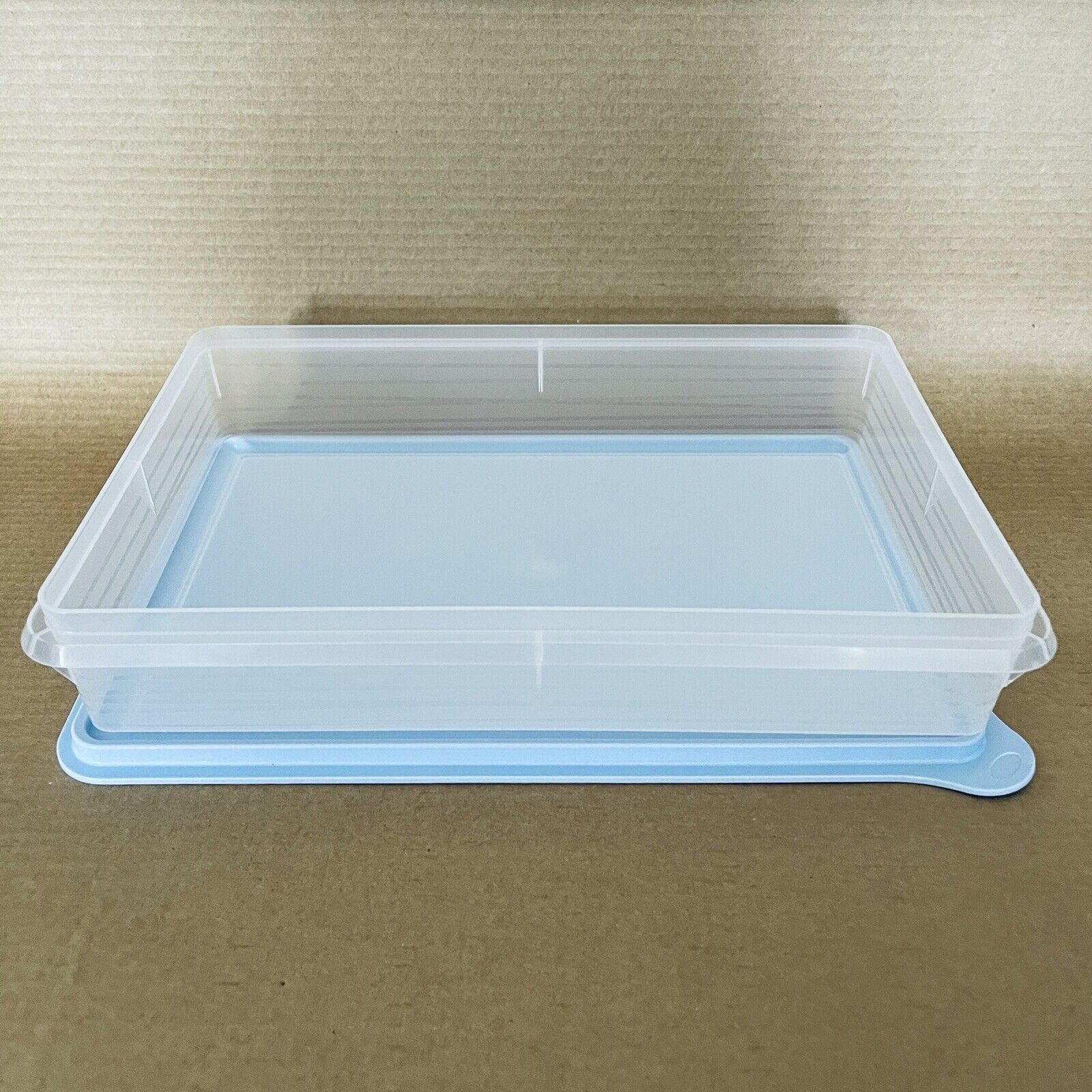 Tupperware Large Snack Stor Rectangular Cold Cut Keeper Container #5346 Ice Blue