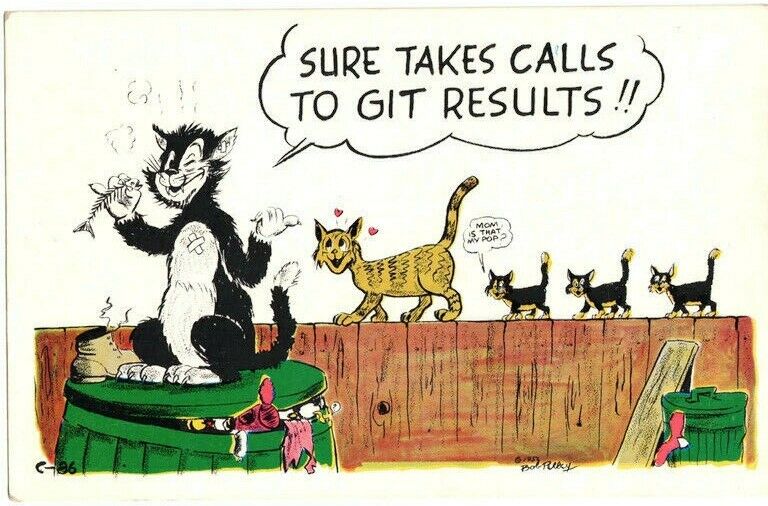 Postcard Humor Bob Petley 1952 Sure Takes Calls To Git Results Cats Funny