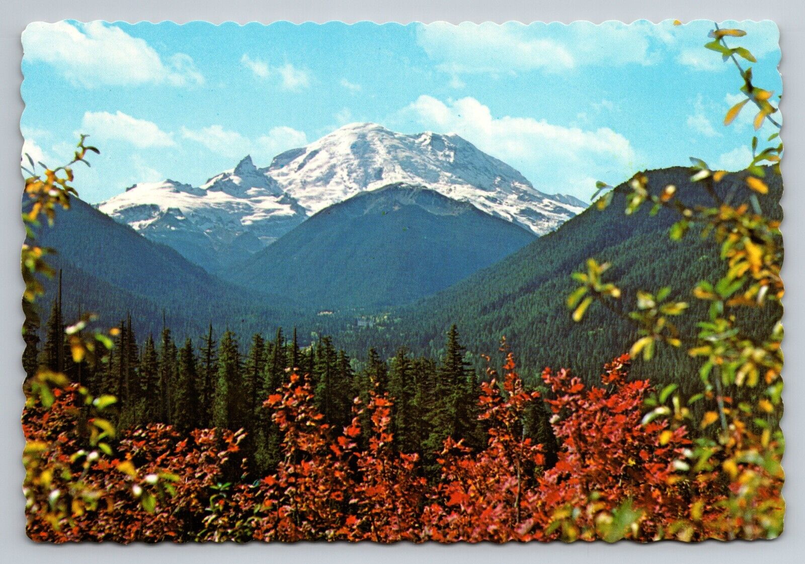 Mount Rainier And White River Valley Washington Vintage Unposted Postcard