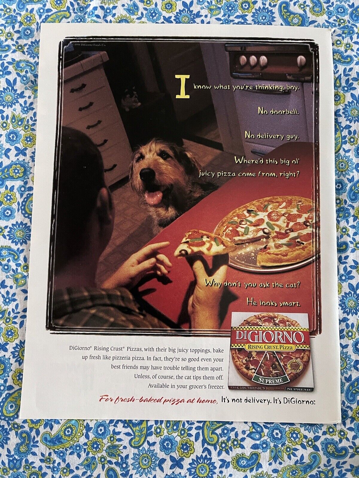 Vintage 1998 DiGiorno Pizza Print Ad No Delivery No Doorbell Dog