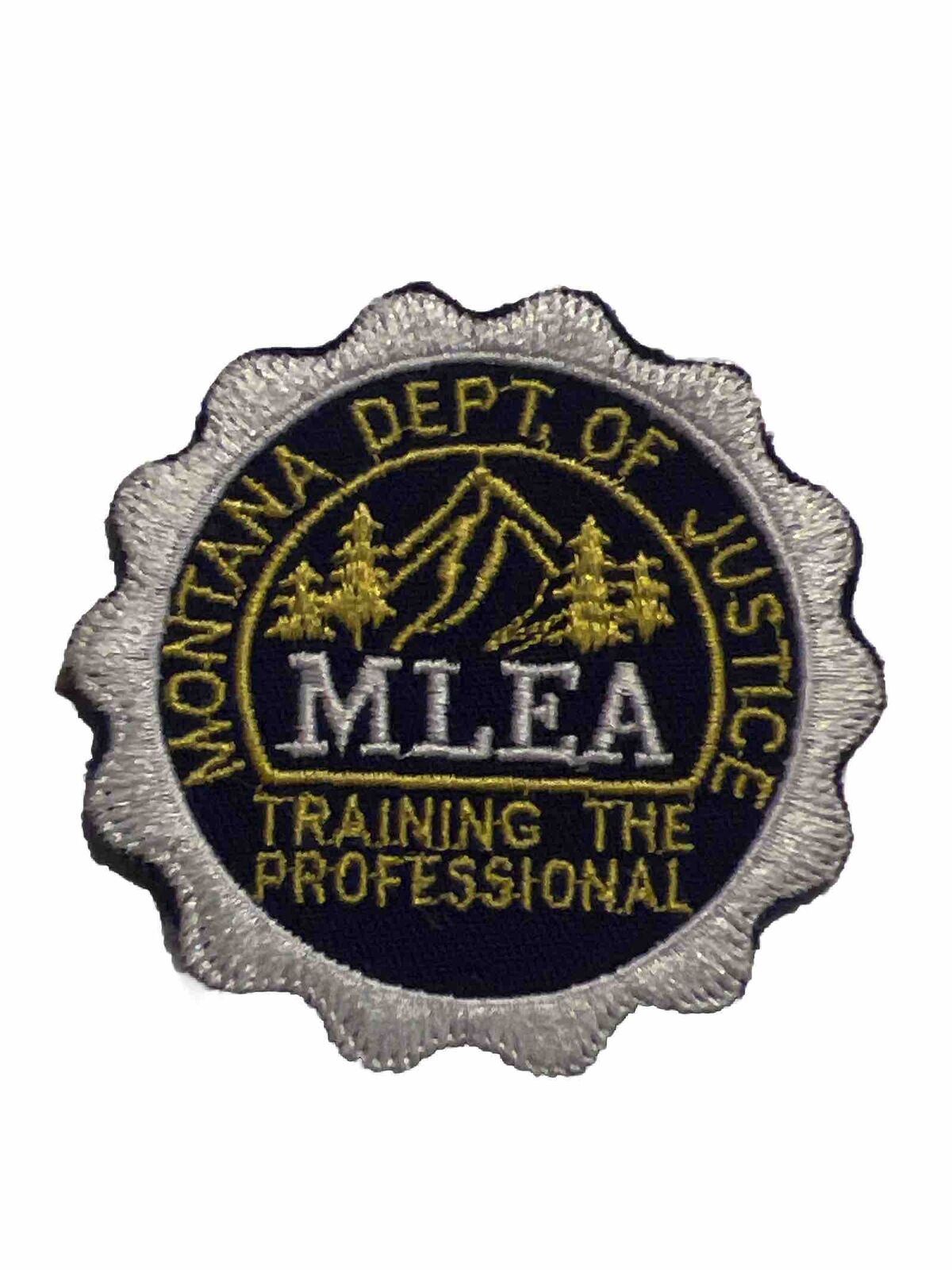 Vintage Montana Dept of Justice Training, the  Professional - Shoulder Patch