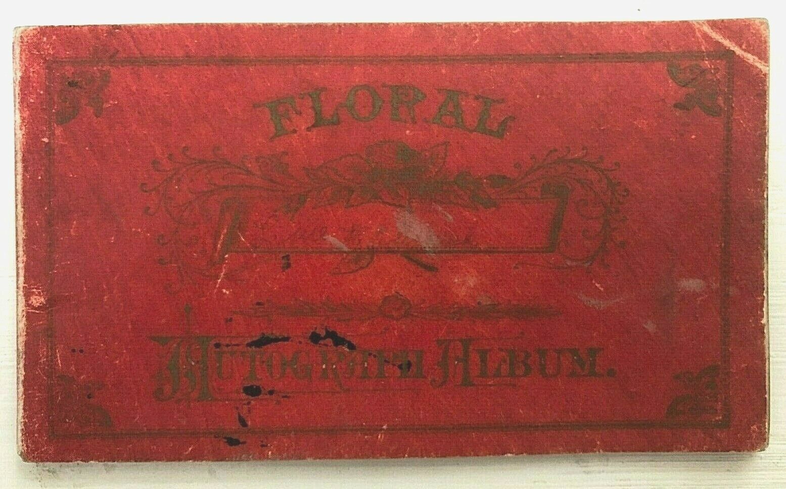 Antique 1900  Floral Autograph Album