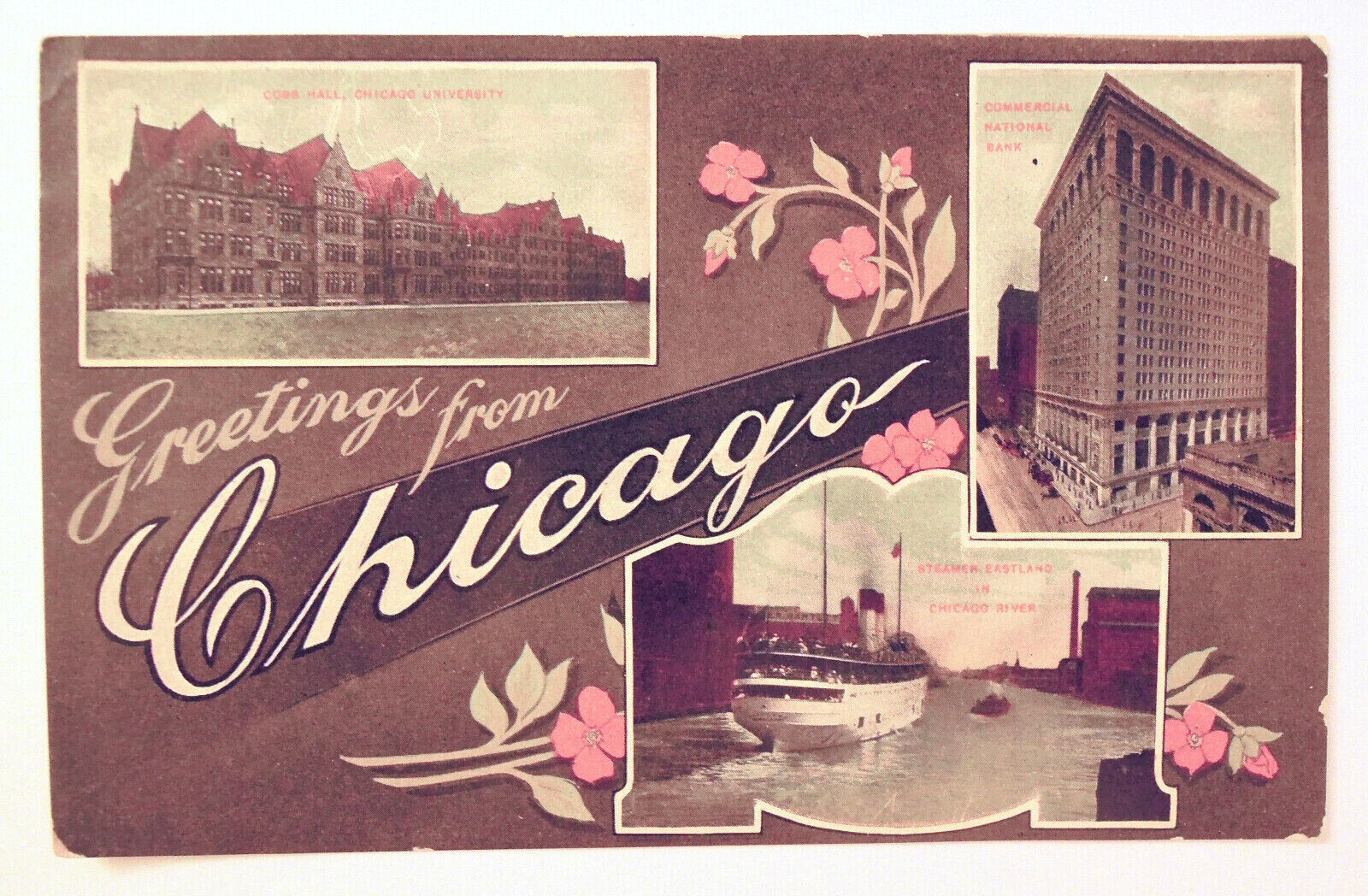 Postcard Vintage 1910s 20s Chicago Illinois Cobb Hall Steamer Eastland Unposted 