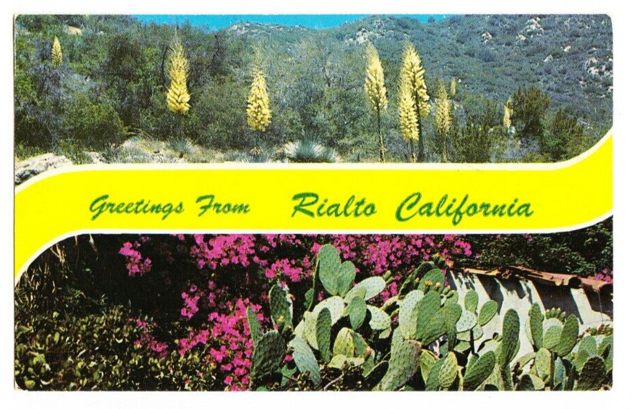 Greetings from Rialto CA Postcard, Posted 1968, Columbia