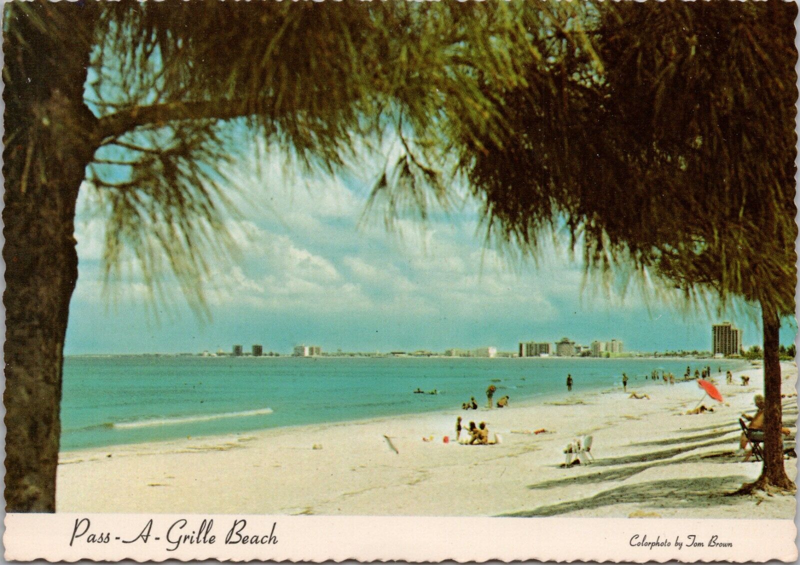 PASS - A - GRILLE BEACH, FLORIDA ~ Looking North Towards St. Petersburg Beach