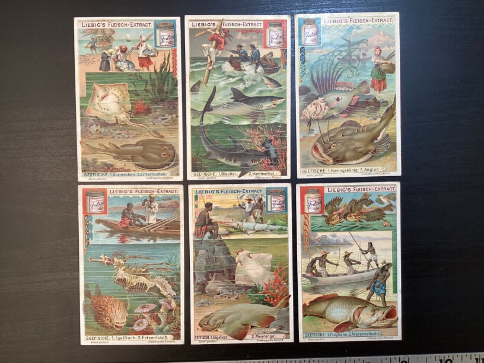 LIEBIG FLEISCH-EXTRACT VICTORIAN TRADE CARD SET  of 6 Ocean Creatures Fish