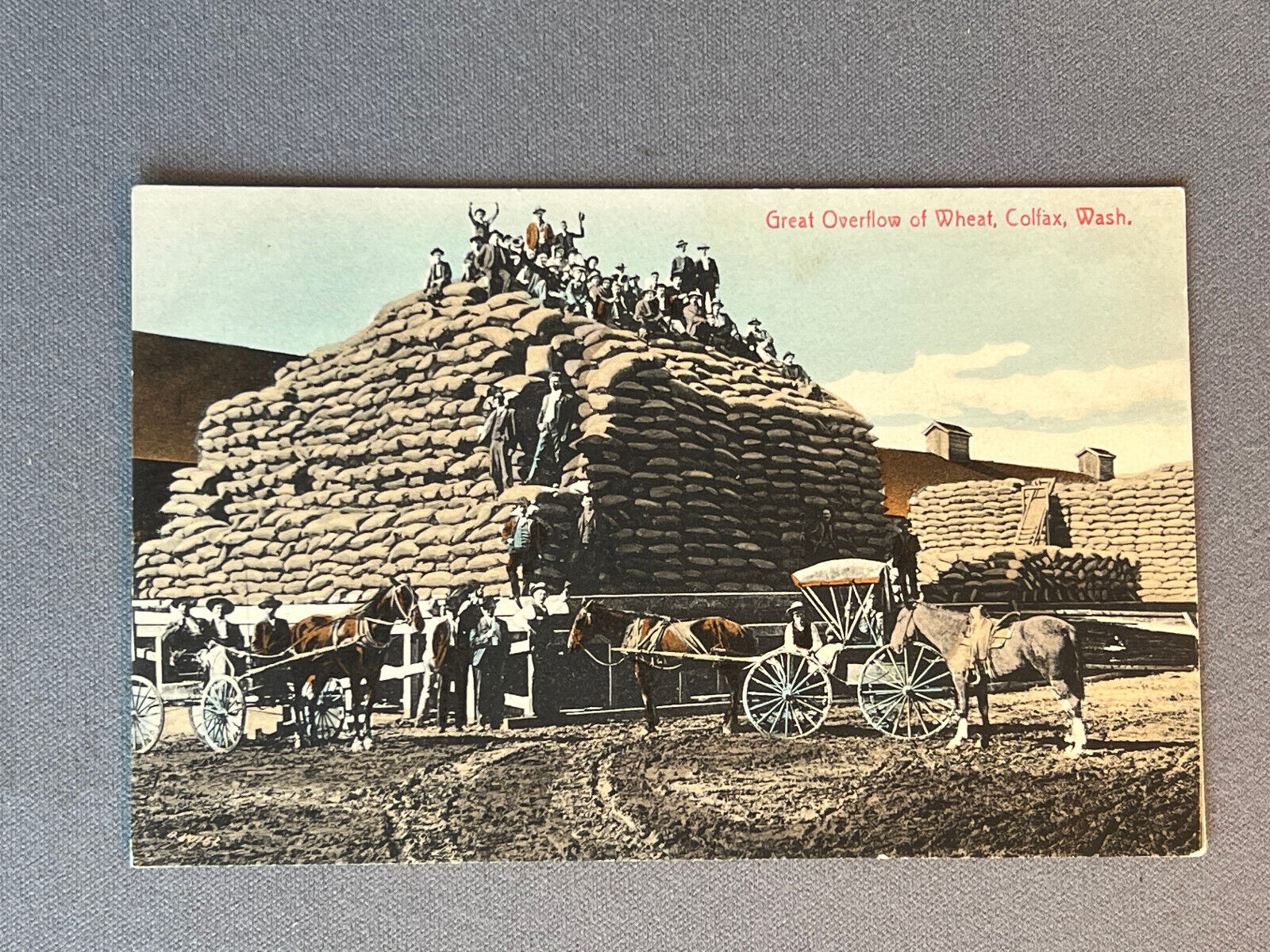 Washington WA, Colfax, Men Atop Huge Pile Of Wheat, Horse & Buggy, ca 1910