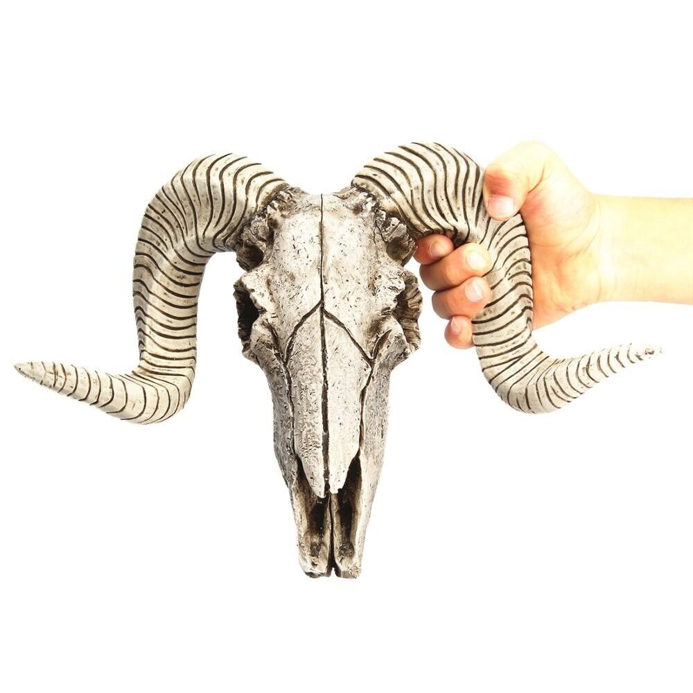 Resin Skeleton Ram Sheep Head Skull Head Wall Hanging 3D Animal Longhorn Goat