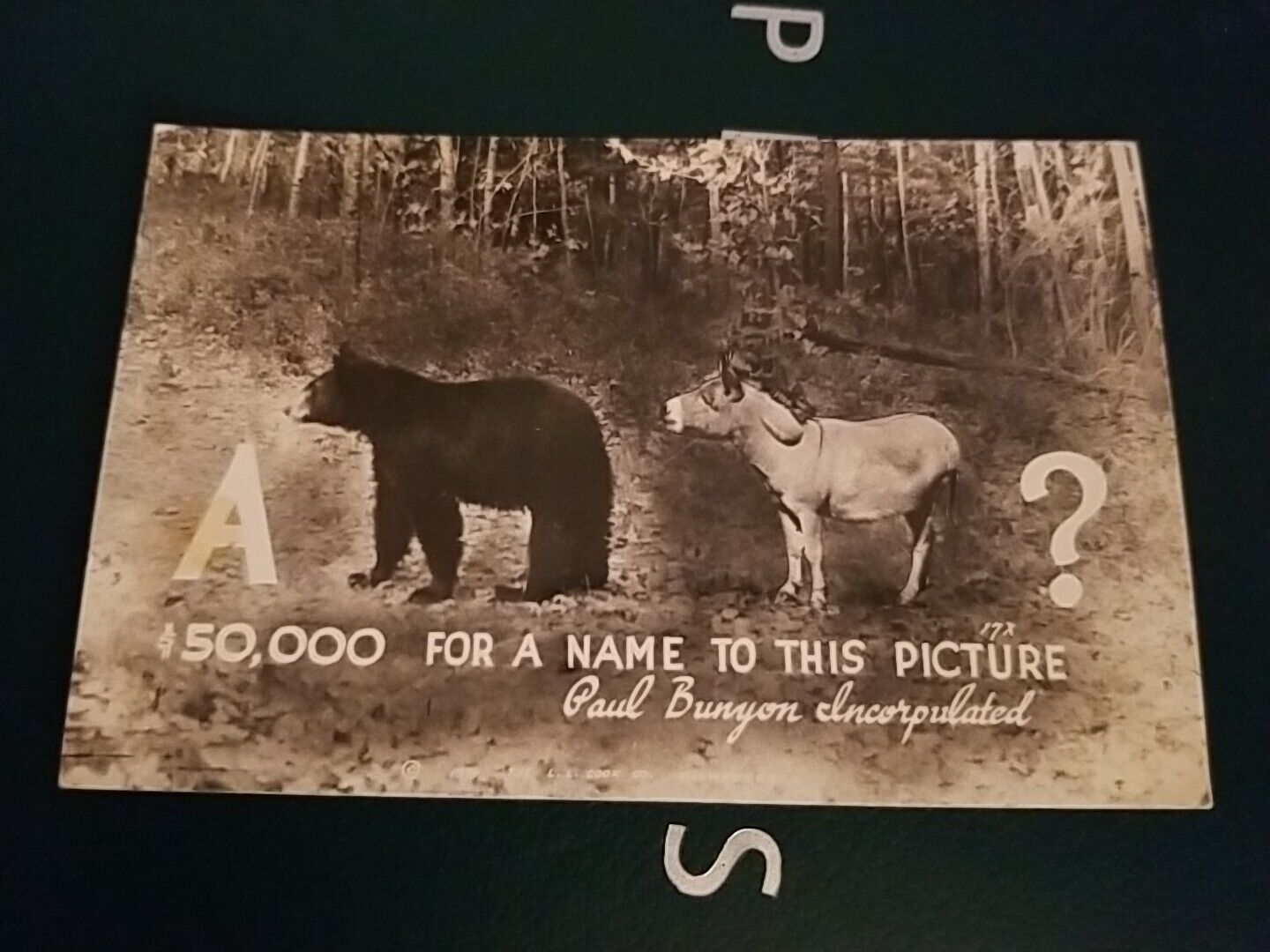 RPPC EKC  1939-1950 Humor $50,000 For A Name To This Picture Paul Bunyan 
