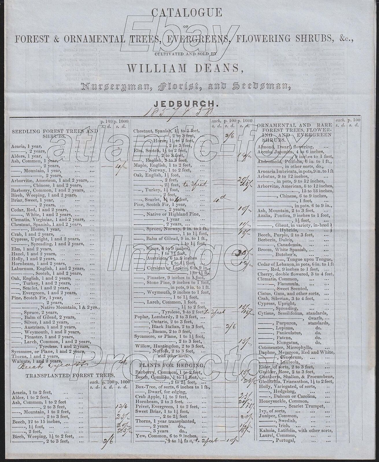 1857 Jedburgh RARE CATALOGUE William Deans, Nurseryman, Florist & Seedsman 4page