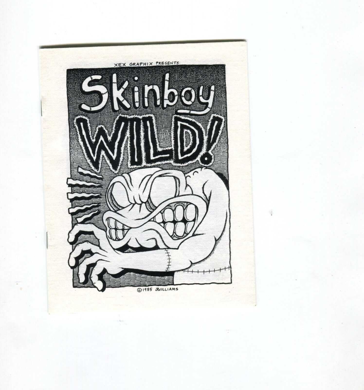 SKINBOY WILD (XEX) 1985   J.R. Williams mini comic