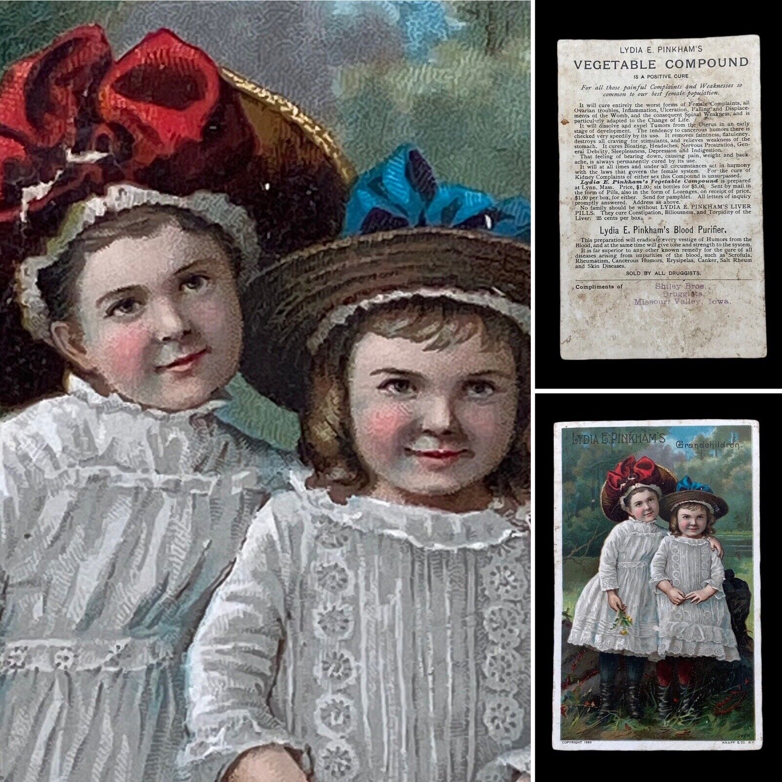 1889 Lydia E. Pinkham\'s Grandchildren & Blood Purifier Ad Victorian Trade Card
