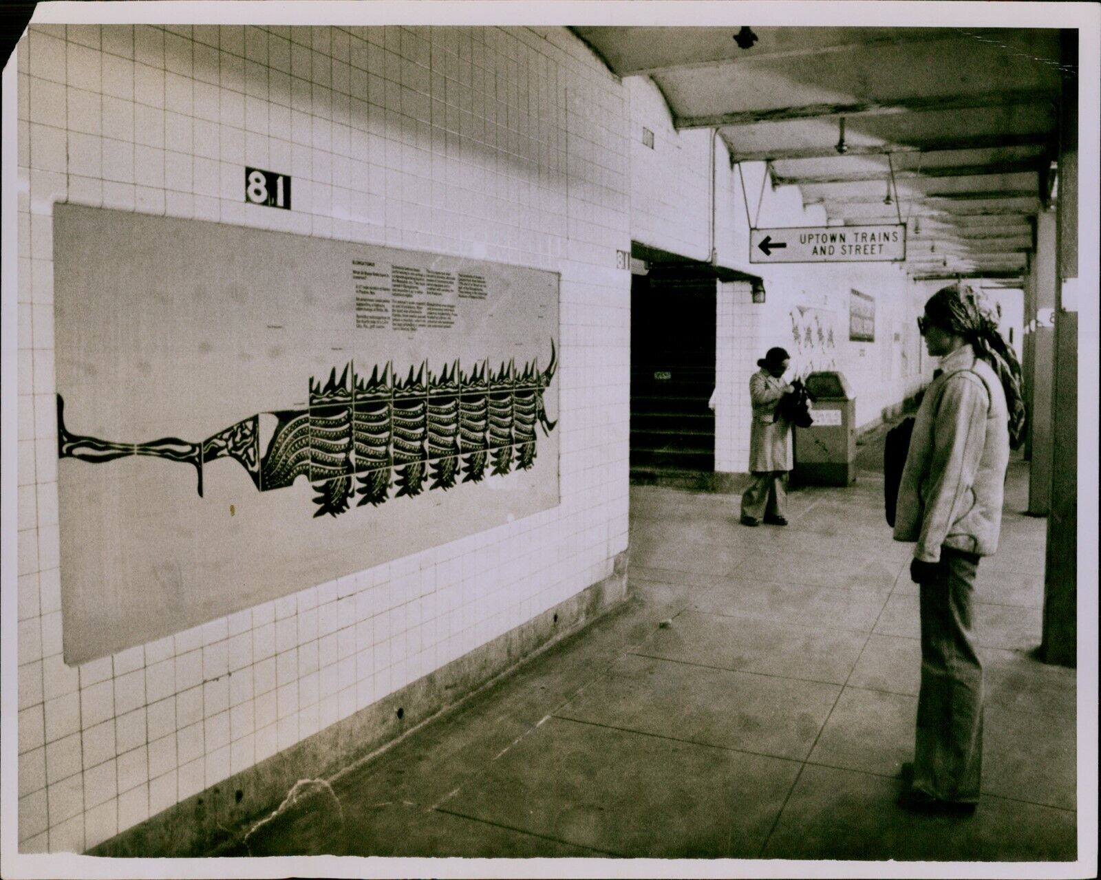 GA43 1976 Original Photo UNDERGROUND ART New York Subway Natural History Poster