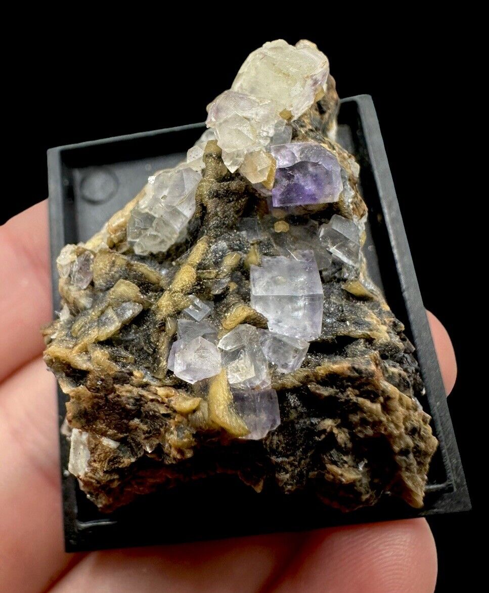 Fluorite Crystals: Mont-Roc Mine. Castres, Tarn, Occitanie, France 🇫🇷