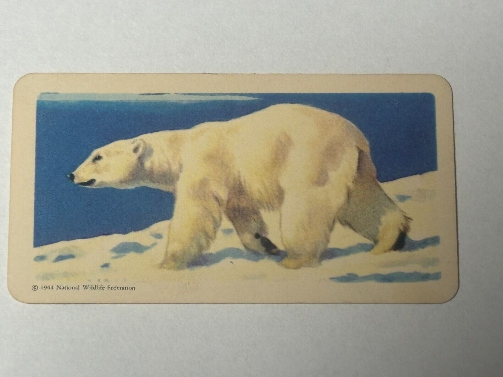1962 Brooke Bond Canada Animals of North America Series 2 lot of 3 tea cards