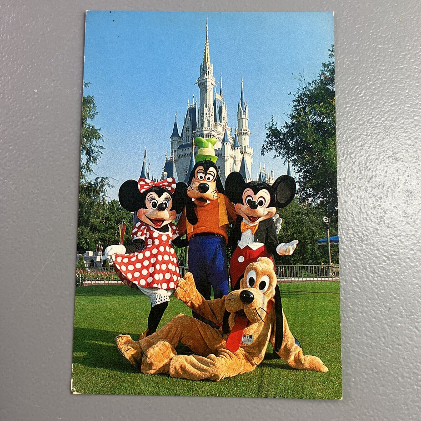 Postcard - Hosts of the Kingdom - Walt Disney World - Orlando, Florida