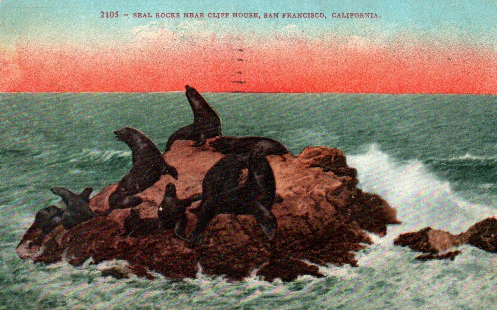 Postcard Divided back Seal Rocks Near Cliff House San Francisco CA 1911