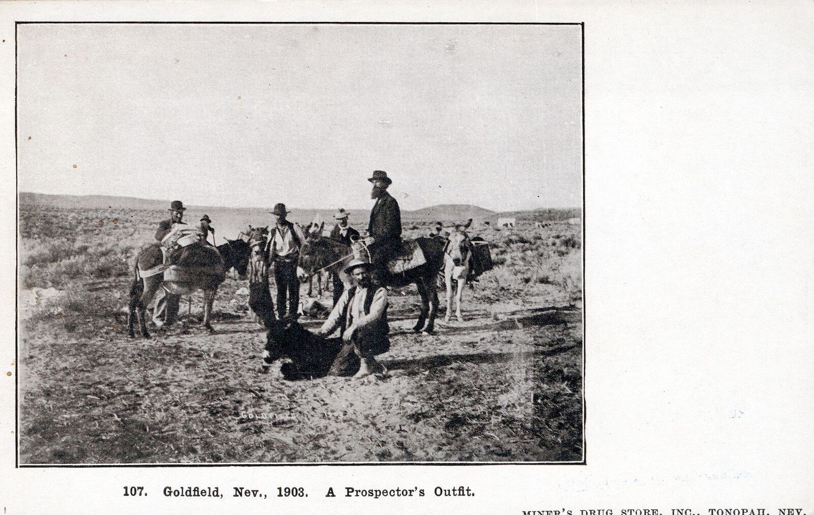 GOLDFIELD NV - Goldfield November 1903 A Prospector's Outfit Postcard - udb