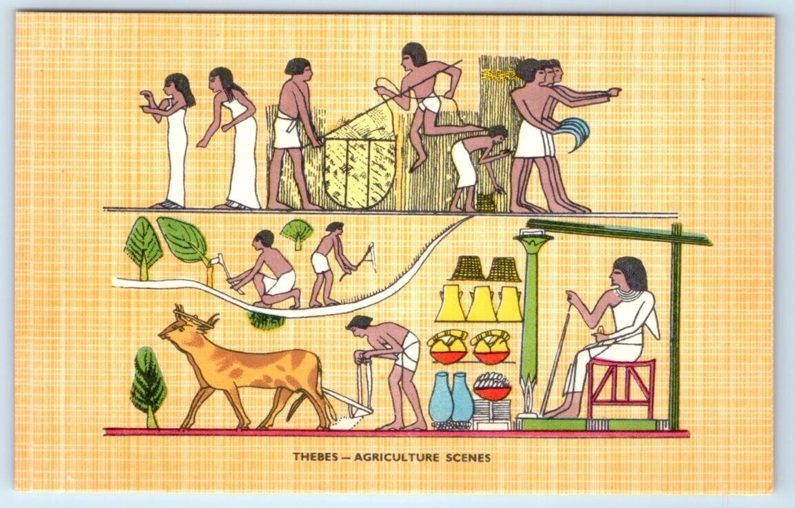 THEBES Agriculture scenes EGYPT Lehnert & Landrock Postcard