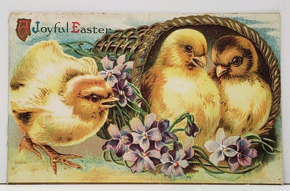 Joyful Easter Chicks In Gilded Basket 1911 Cohoctah to Linden Mich Postcard G15