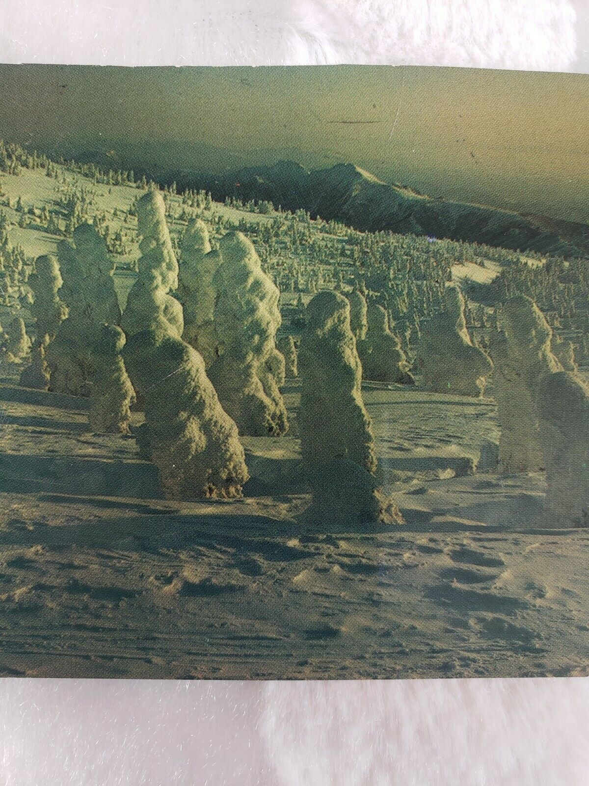 C 1980s Mount Zao Snow Monsters Juhyo Onsen Yamagata Japan Chrome Postcard