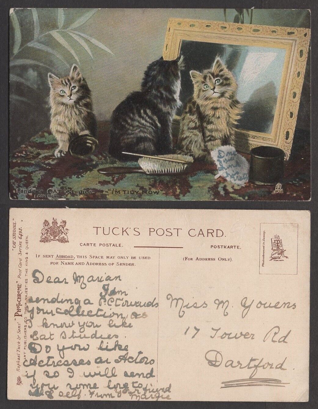 Old Cat Postcard – Kittens – Tuck\'s Landor\'s Cat Series #6495, Cat Studies