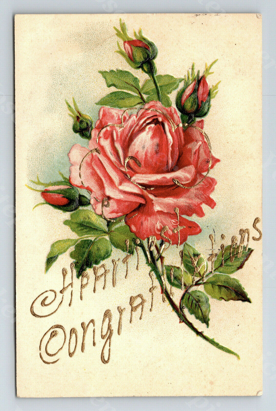 a7  Postcard 1907 Embossed Rose Grove City PA 227a